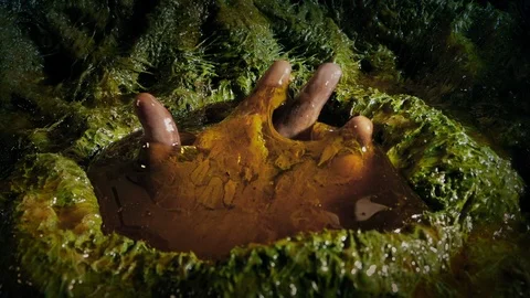 Hand Breaks Through Slimy Alien Cocoon Stock Footage 112717452