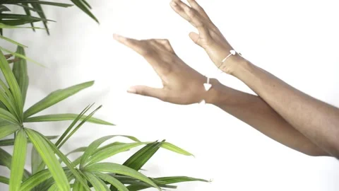 Hand broll 스톡 동영상 207738523