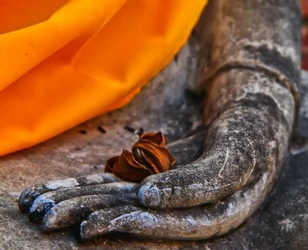 Hand of buddha Stock Photos