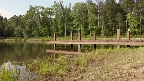 A hand built dock pier on the edge of a small reflective fish pond Vídeos de archivo 132607434