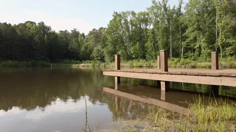 A hand built dock pier on the edge of a small reflective fish pond Vídeos de archivo 132607455