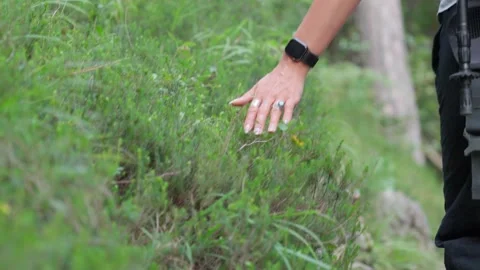 Hand bush 動画素材 285468468