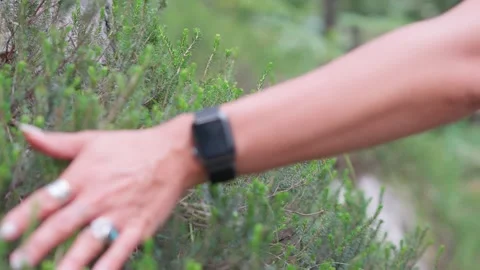 Hand bush 動画素材 285468498