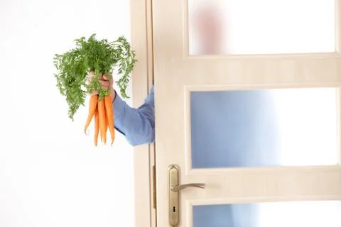 Hand with carrots Stock Photos