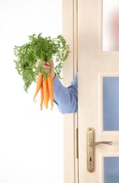 Hand with carrots Stock Photos