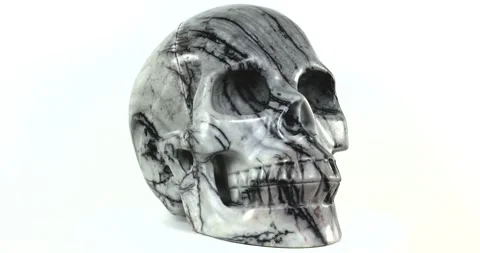 Hand-carved Network Jasper Skull seamless loop on white background Stock Footage 170089288
