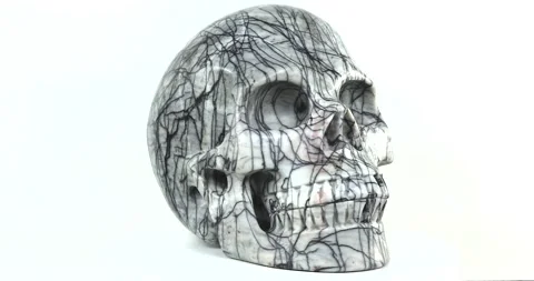 Hand-carved Network Jasper Skull seamless loop on white background Stock Footage 170089560