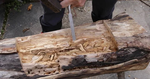 Hand Carving using chisel and hammer Video stock 332649737