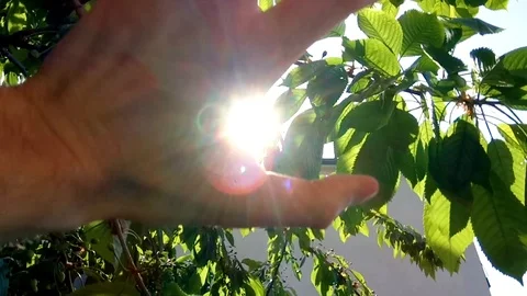 The hand catches the sun Stock Footage 91743771