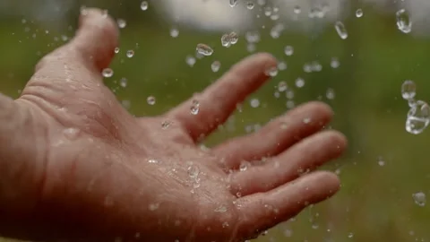 Hand catching water rain drops on blurred green background, super slow motion 4k Stock Footage 203855020