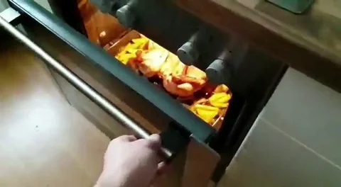 The hand of the Caucasian man opening the oven to remove the cooked duck, slow m Stock Footage