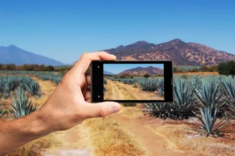 Hand with cellphone Foto stock