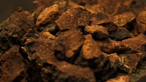 Hand in Chaga Mushrooms Stock Footage 166752273
