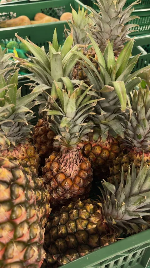 Hand Checking Ripe Pineapple in Green Market Crate Stock Footage 337911681