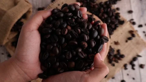 Hand checking roasted coffee beans quality Stock Footage 273565861