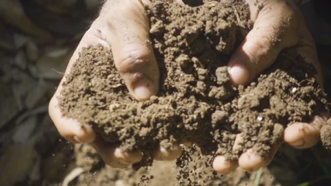 Hand checking soil in the field Stock Footage 108739063