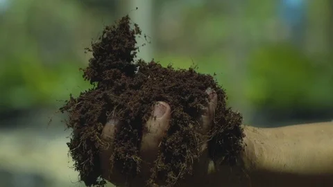 Hand checking soil in the field Stock Footage 108739339