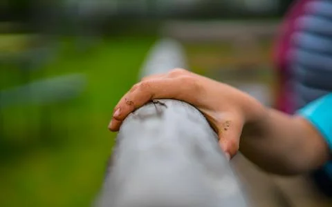 Hand Child Stock Photos