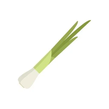 Hand chive icon flat vector. Fresh onion Illustrazione stock