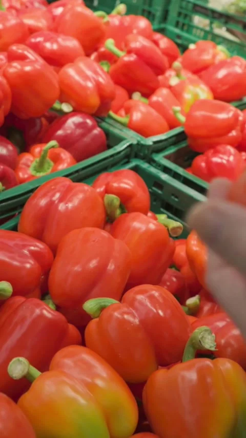 Hand choosing fresh red bell pepper from market crate 스톡 동영상 334170209