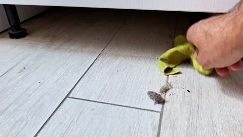 Hand Cleaning Dirt from a Tiled Floor Under Furniture with Yellow Cloth Vidéo 346802507