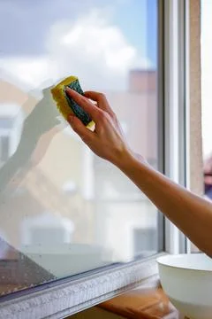 Hand cleaning a window with sponge. Close-up of housework and spring cleani.. Stock Photos