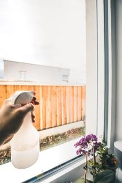 Hand cleaning window with spray detergent. Spring cleanup Stock Photos