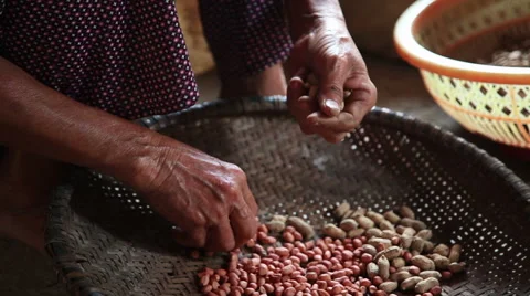 Hand clear nuts 库存影片 49058267