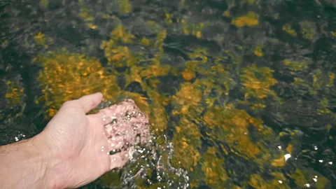 Hand in Clear Running Water, A close-up of a hand gently interacting with clear Stock Footage 280905429