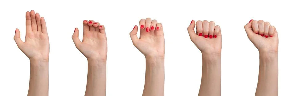 Hand clenching, closing process from open palm to closed fist, process set, Stock Photos