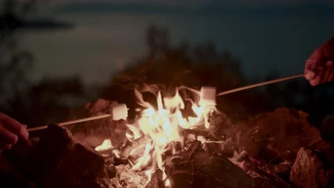 Hand close up with marshmallow on stick being roasted over camping firecamping Stock Footage 238524284