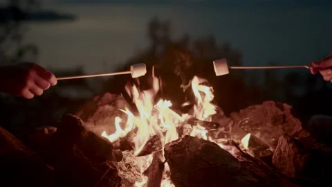 Hand close up with marshmallow on stick being roasted over camping firecamping Stock Footage 238999904