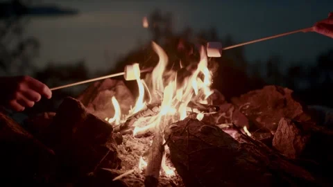Hand close up with marshmallow on stick being roasted over camping firecamping Stock Footage 253083859