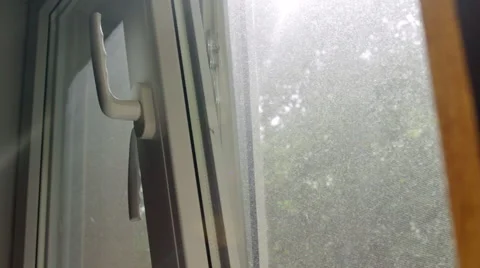 Hand Closing A Window, Glass, White, Trees, Net, Side Shot Video stock 43538249