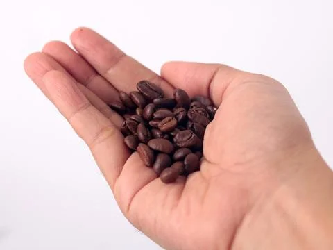 Hand with coffee bean Stock Photos
