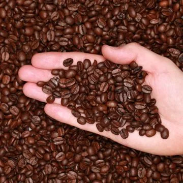 Hand with coffee beans Foto stock