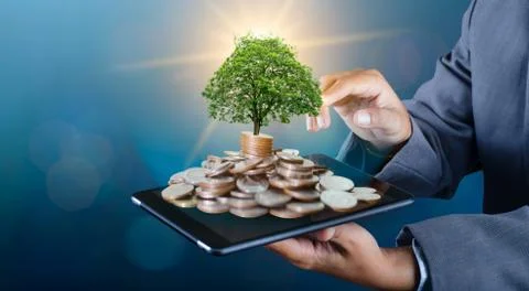 Hand Coin tree The tree grows on the pile. Saving money for the future. Inves Stock-Fotos