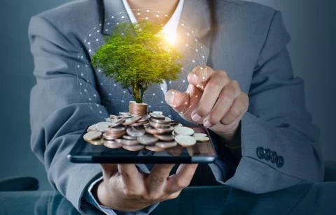 Hand Coin tree The tree grows on the pile. Saving money for the future. Inves Stock Photos