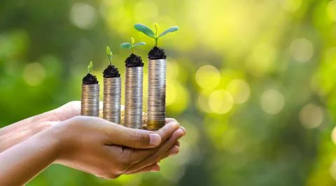 Hand Coin tree The tree grows on the pile. Saving money for the future. Inves Stock Photos
