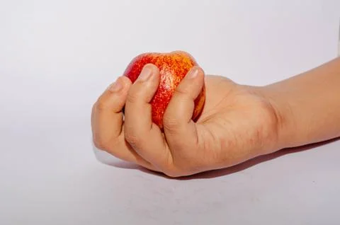 Hand Collection Stock Photos