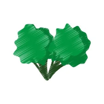 Hand colored drawing broccoli bite icon Stock Illustration