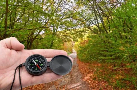 Hand with compass on background forest Stock Photos