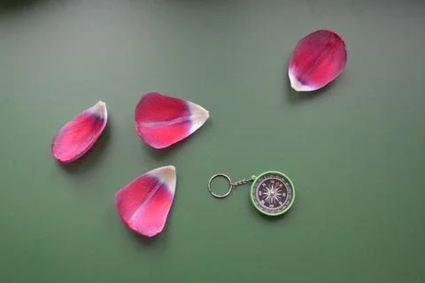 Hand compass for travel on the background of objects Stock-Fotos