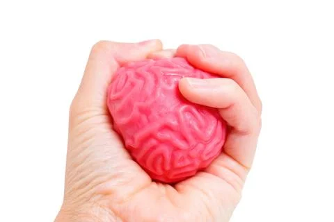 Hand Compressing Jelly-Like Brain Model Foto stock