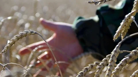 Hand conducts on the runners 스톡 동영상 80900678