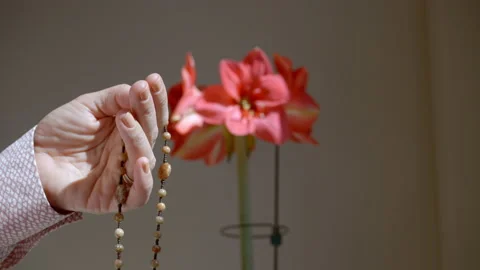 Hand counts beads on rosary with red flower in background UHD Stock Footage 153245708