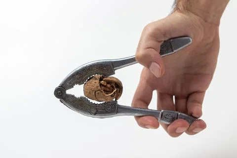 Hand cracks a nut with a nutcracker. Stock Photos