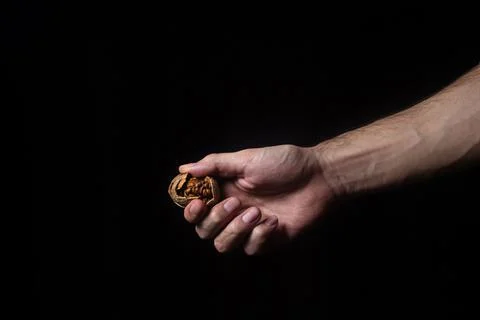 A hand cracks a walnut on a black background.  Stock Photos