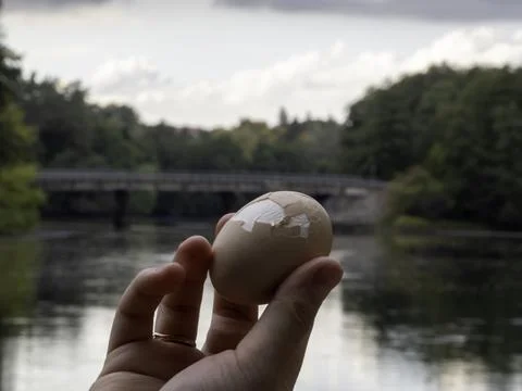 Hand cradles a single brown egg Stock Photos
