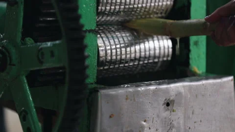 Hand cranked sugar cane press machine, person feeding in stalks, Havana, Cuba Vidéo 202897781